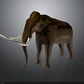 Realistic Woolly Mammoth 3D Model With Brown Fur Long White Tusks