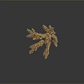 Tiny Coral Polyps Build Branching Yellow Coral Structure with Textured Surface