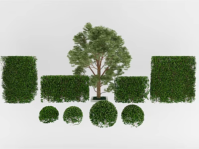modern shrub green plant shrub 3d model