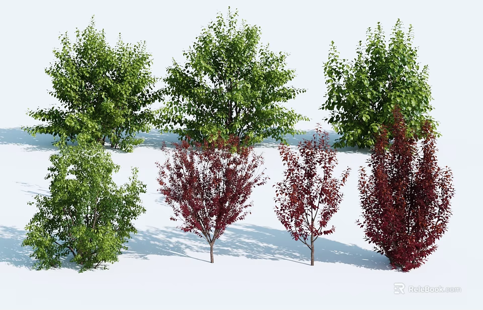 Diverse Garden Trees With Green And Red Foliage And Varied Canopy Shapes 3d model 