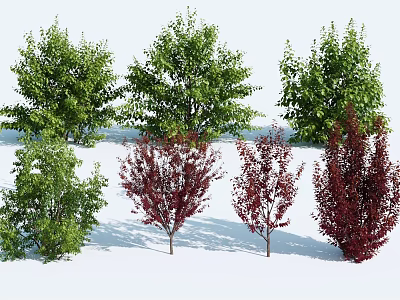 Diverse Garden Trees With Green And Red Foliage And Varied Canopy Shapes 3d model