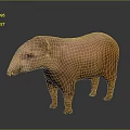 Pink Tapir 3D Model Standing on Gray Background with Reflective Surface 3d model