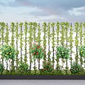 Lush Plant Combination With Climbing Vines And Colorful Bushes In Vertical Garden
