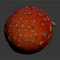 Vibrant Red Mushroom With White Spots Isolated On Grey Background Macro View