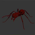 Realistic Red Ant 3D Model With Detailed Legs On Gray Background 3d model
