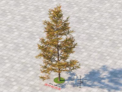 Arbor Tree with Yellow Green Foliage on Gray Paved Ground 3.6 Meters Height 3d model