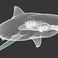 Realistic 3D Rendering of Aquatic Animal Shark with Streamlined Body Sharp Teeth and Open Mouth