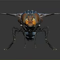 Vibrant Blue Fly With Red Eyes Transparent Patterned Wings And Orange Body