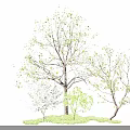 Lush Arbor With Green Foliage And Purple Blossoms Surrounded By Small Shrubs On Grass