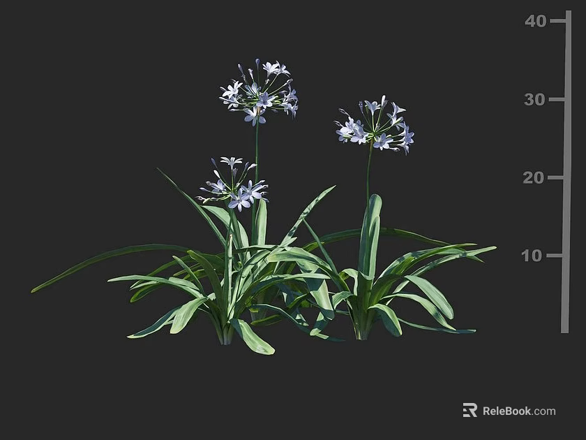 Vibrant Purple Garden Flowers With Long Green Leaves And Fresh Colorful Blooms 3d model 