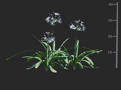 Vibrant Purple Garden Flowers With Long Green Leaves And Fresh Colorful Blooms 3d model