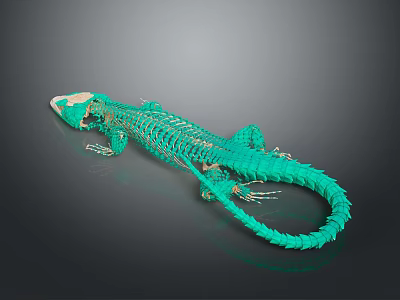 Vibrant Green Lizard Skeleton Art Model With Realistic Bone Structure And Polished Texture 3d model