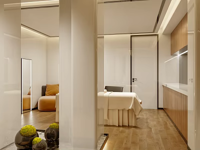 Tranquil SPA Area With Massage Bed Sofa Greenery And Modern Design 3d model