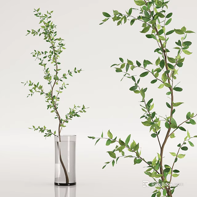 Clear Glass Vase With Green Leafy Branches On Minimalist Background 3d model 
