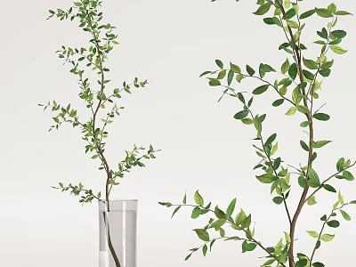 Clear Glass Vase With Green Leafy Branches On Minimalist Background 3d model