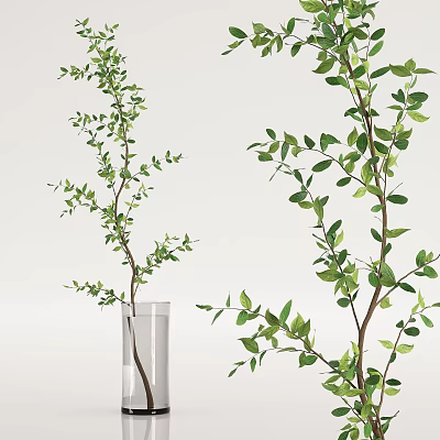 Clear Glass Vase With Green Leafy Branches On Minimalist Background 3d model