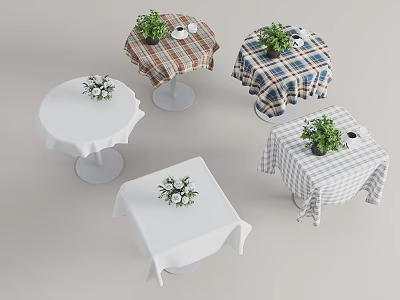 Reception Desks With Plaid And Solid Color Tablecloths And Plant Decorations 3d model