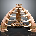 Primitive Decorative Structure Made With Bone Elements Leopard Print And Ropes