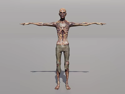 Decayed Zombie Creature Character With Tattered Pants And Outstretched Arms 3d model