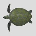 Turtle 3d model