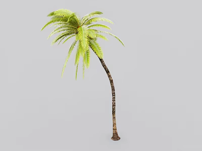 Tall Palm Tree With Green Fronds And Brown Trunk For Outdoor Landscaping 3d model