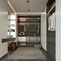Elegant Modern Walk-in Closet with White Gray Tones Metal Frame Hanging Area Drawers and Carpet