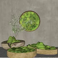 Indoor Bonsai Plant Decoration With Green Moss Circular Design And Wooden Containers