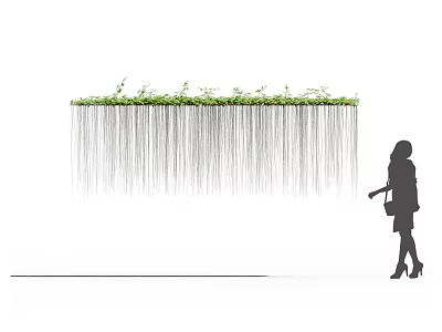 Long Green Hanging Vines Creating Decorative Curtain with Person Nearby 3d model