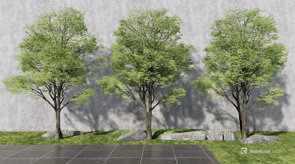 Three Arbor Trees Against Gray Wall With Stone Pavement Grass And Stones 3d model 