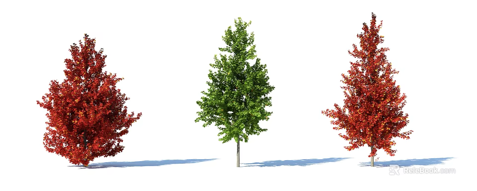 Three Arbor Trees With Green And Red Foliage Isolated On White Background 3d model