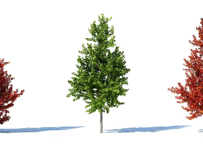 Three Arbor Trees With Green And Red Foliage Isolated On White Background 3d model