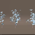 Three Bouquets of Light Blue Small Flowers with Slender Stems on Light Brown Background