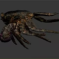 Detailed Crab With Dark Carapace Purple Claws And Multiple Legs On Dark Background