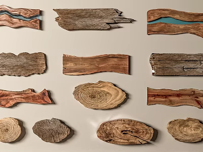 Assorted Natural Wood Slices With Unique Textures And Shapes For Wall Decor 3d model