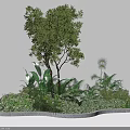 Lush Green Garden Plants Featuring Diverse Foliage Shrubs Ferns And Stone Planter