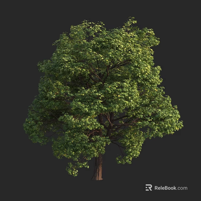 Tall Arbor With Lush Green Canopy And Strong Straight Trunk 3d model 
