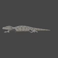 3D Gecko Game Movie Character With White Gray Pattern And Yellow Eyes