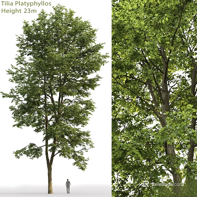 Natural Looking Green Tree Decorative Ornament Set With Leafy Branches For Home Decoration 3d model 