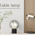 Modern Table Lamps With Glass Shades And Green Plant On Wooden Table