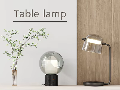 Modern Table Lamps With Glass Shades And Green Plant On Wooden Table 3d model