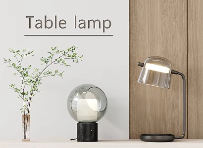 Modern Table Lamp Spherical Glass Table Lamp Metal Table Lamp 3d model