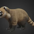 Realistic Raccoon Figure With Brown Black Fur And Ringed Tail Standing On Dark Background