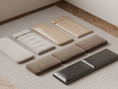 Long Floor Cushions In Assorted Colors On Striped Rug With Wooden Floor 3d model