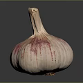 Fresh Whole Garlic Bulb With Purple Stripes On Black Background Close Up View