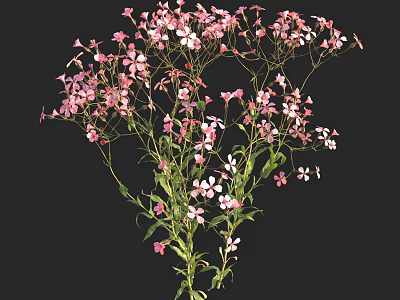 Fresh Bunch Of Pink And White Flowers With Green Stems And Leaves 3d model