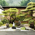 Japanese Style Garden Courtyard With Stone Lantern Pine Trees And Pebble Path