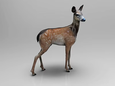 Reptile 3D Model Featuring Brown Body With White Spots On Gray Background 3d model