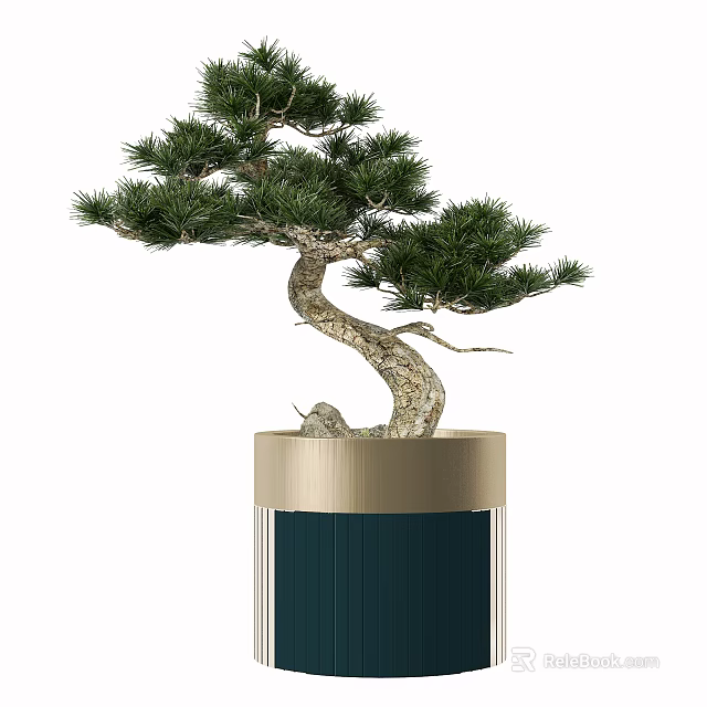 Bonsai Tree With Twisted Trunk Lush Green Foliage In Golden Rim Dark Green Pot 3d model 