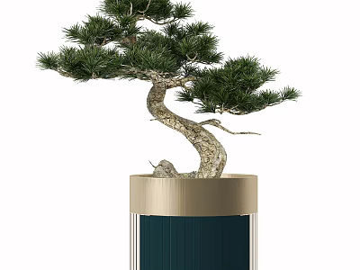 Bonsai Tree With Twisted Trunk Lush Green Foliage In Golden Rim Dark Green Pot 3d model