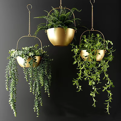 Lush Hanging Basket Plants in Golden Baskets with Trailing Greenery on Black Background 3d model
